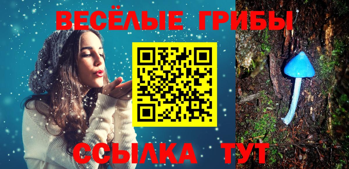 Псилоцибиновые грибы мицелий Гусев